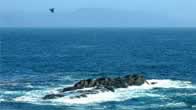 �����ɴ� Ensenada