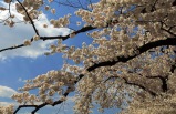 �������Ϸ�˳�,�����ƹ��ҹ�԰,��ɳ��԰,����˹���޶�����̽��֮��(�ɽ�ɽ��������)**;���������ر��г�**