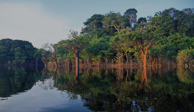 亚马逊热带雨林 途风旅游资讯